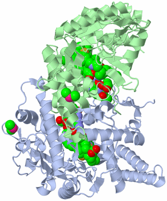 Image Asym./Biol. Unit