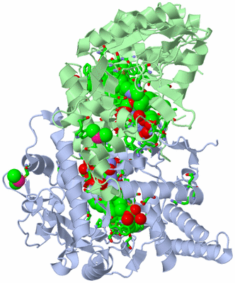 Image Asym./Biol. Unit - sites