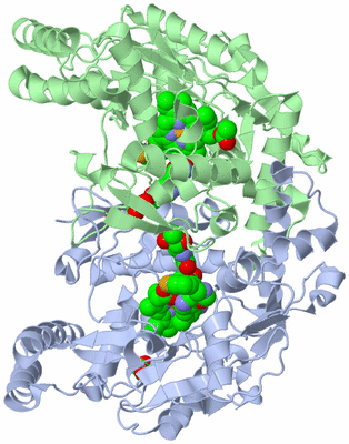 Image Asym./Biol. Unit