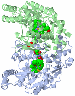 Image Asym./Biol. Unit