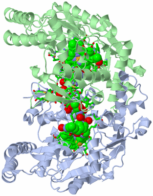 Image Asym./Biol. Unit - sites