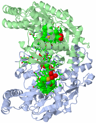 Image Asym./Biol. Unit - sites