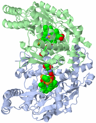 Image Asym./Biol. Unit