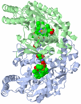 Image Asym./Biol. Unit