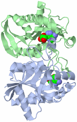 Image Asym./Biol. Unit