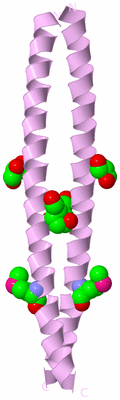 Image Biological Unit 3