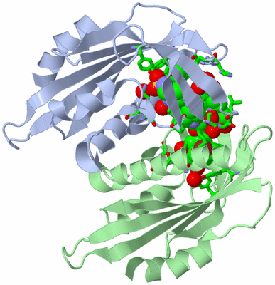 Image Biol. Unit 1 - sites