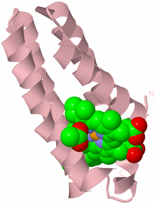 Image Biological Unit 3