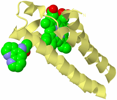 Image Biological Unit 4