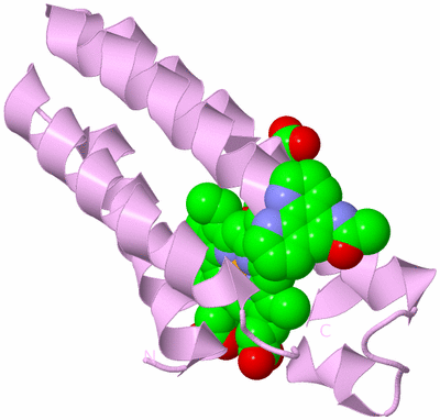 Image Biological Unit 5