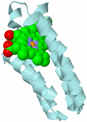 Image Biological Unit 6