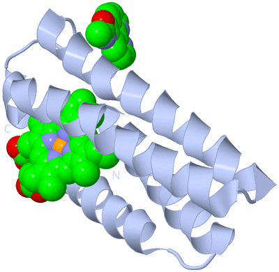 Image Biological Unit 1