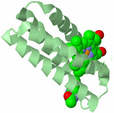 Image Biological Unit 2