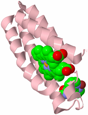 Image Biological Unit 3