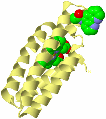 Image Biological Unit 4