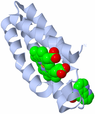 Image Biological Unit 1