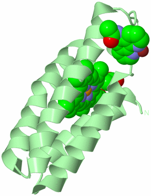 Image Biological Unit 2