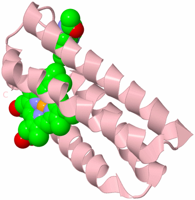 Image Biological Unit 3