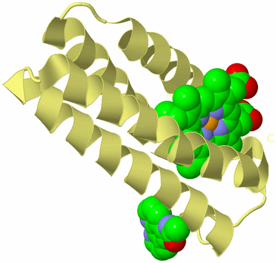 Image Biological Unit 4