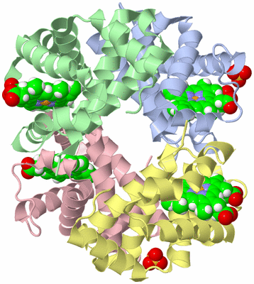 Image Asym./Biol. Unit