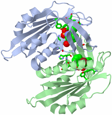 Image Biol. Unit 1 - sites