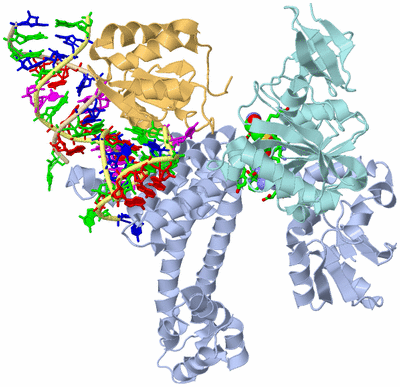 Image Biol. Unit 1 - sites