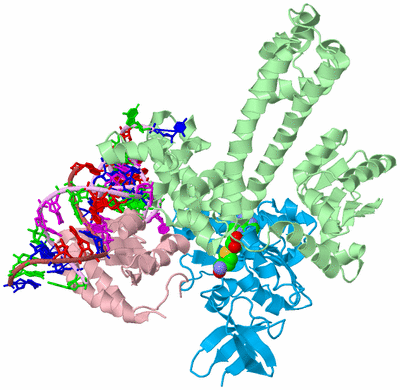 Image Biological Unit 2