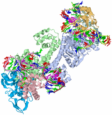 Image Biological Unit 3