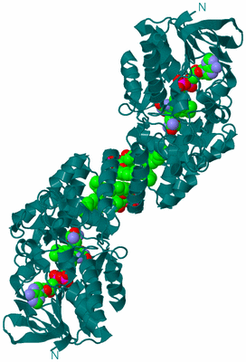 Image Biological Unit 1