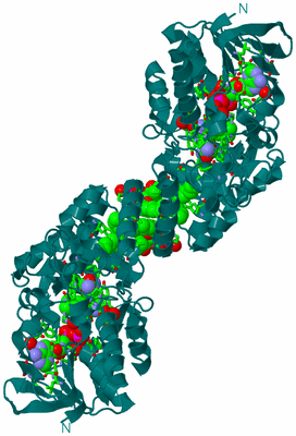 Image Biol. Unit 1 - sites