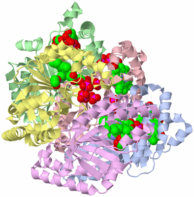 Image Asym./Biol. Unit