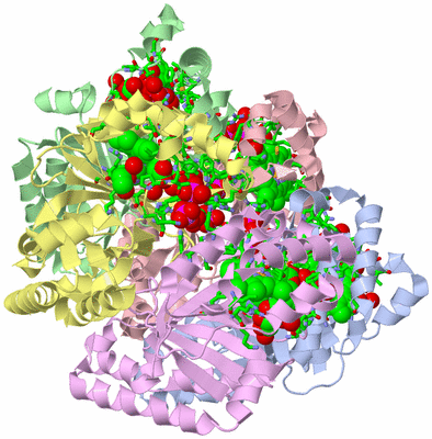 Image Asym./Biol. Unit - sites