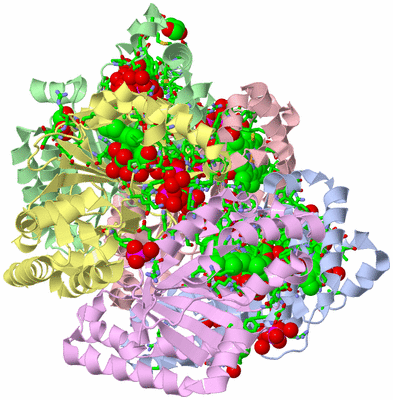 Image Asym./Biol. Unit - sites