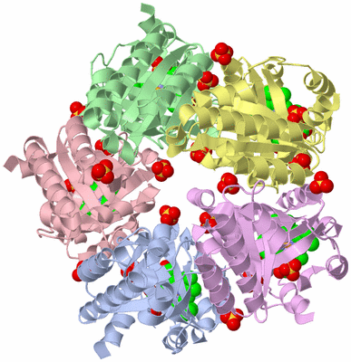 Image Asym./Biol. Unit