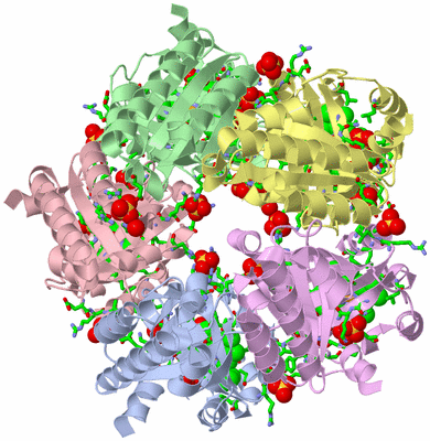 Image Asym./Biol. Unit - sites