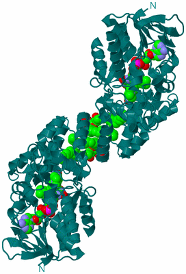 Image Biological Unit 1