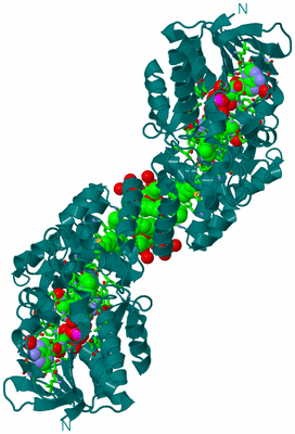 Image Biol. Unit 1 - sites