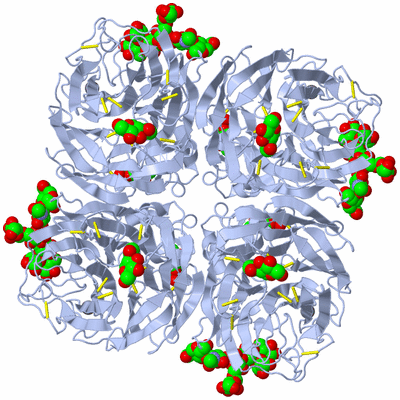 Image Biological Unit 1