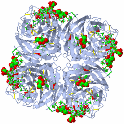 Image Biol. Unit 1 - sites