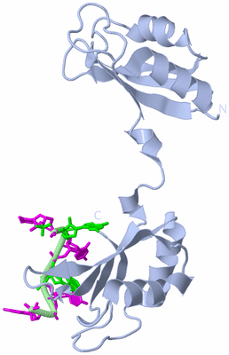 Image Biological Unit 1