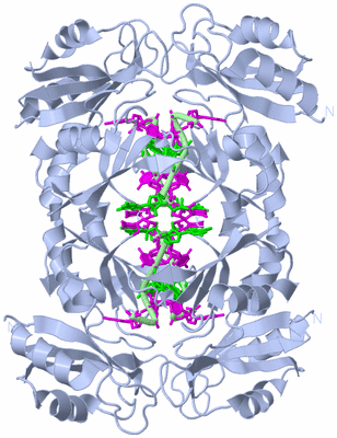 Image Biological Unit 2