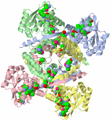 Image Biological Unit 1