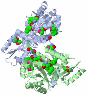 Image Biological Unit 2