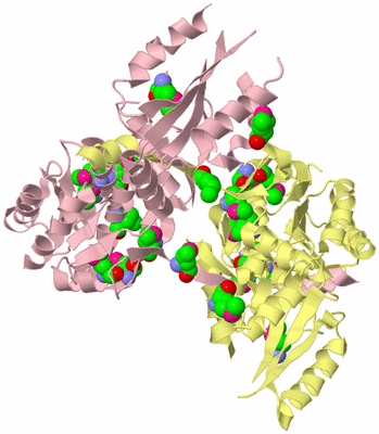 Image Biological Unit 3