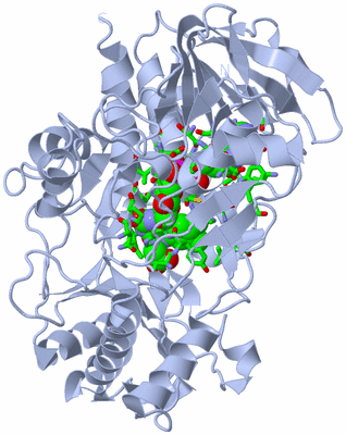 Image Biol. Unit 1 - sites