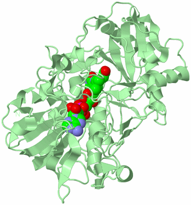 Image Biological Unit 2