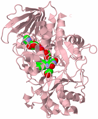 Image Biological Unit 3