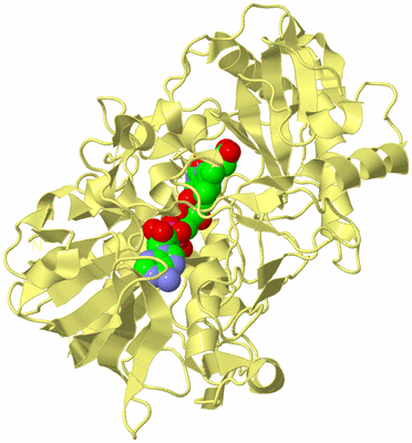 Image Biological Unit 4