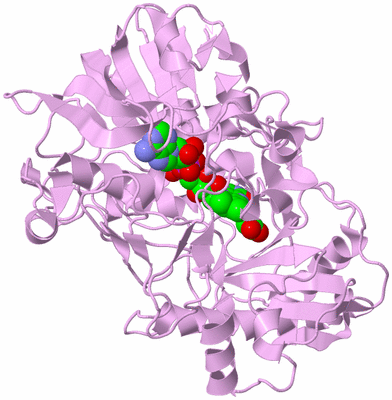 Image Biological Unit 5