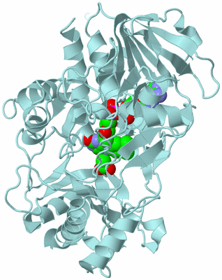 Image Biological Unit 6